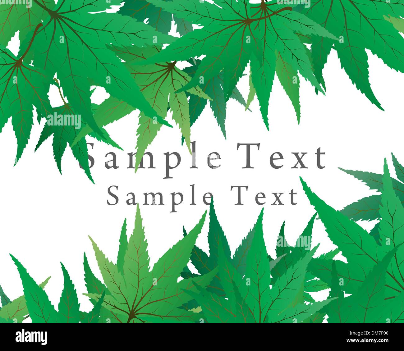 maple leaves Stock Vector