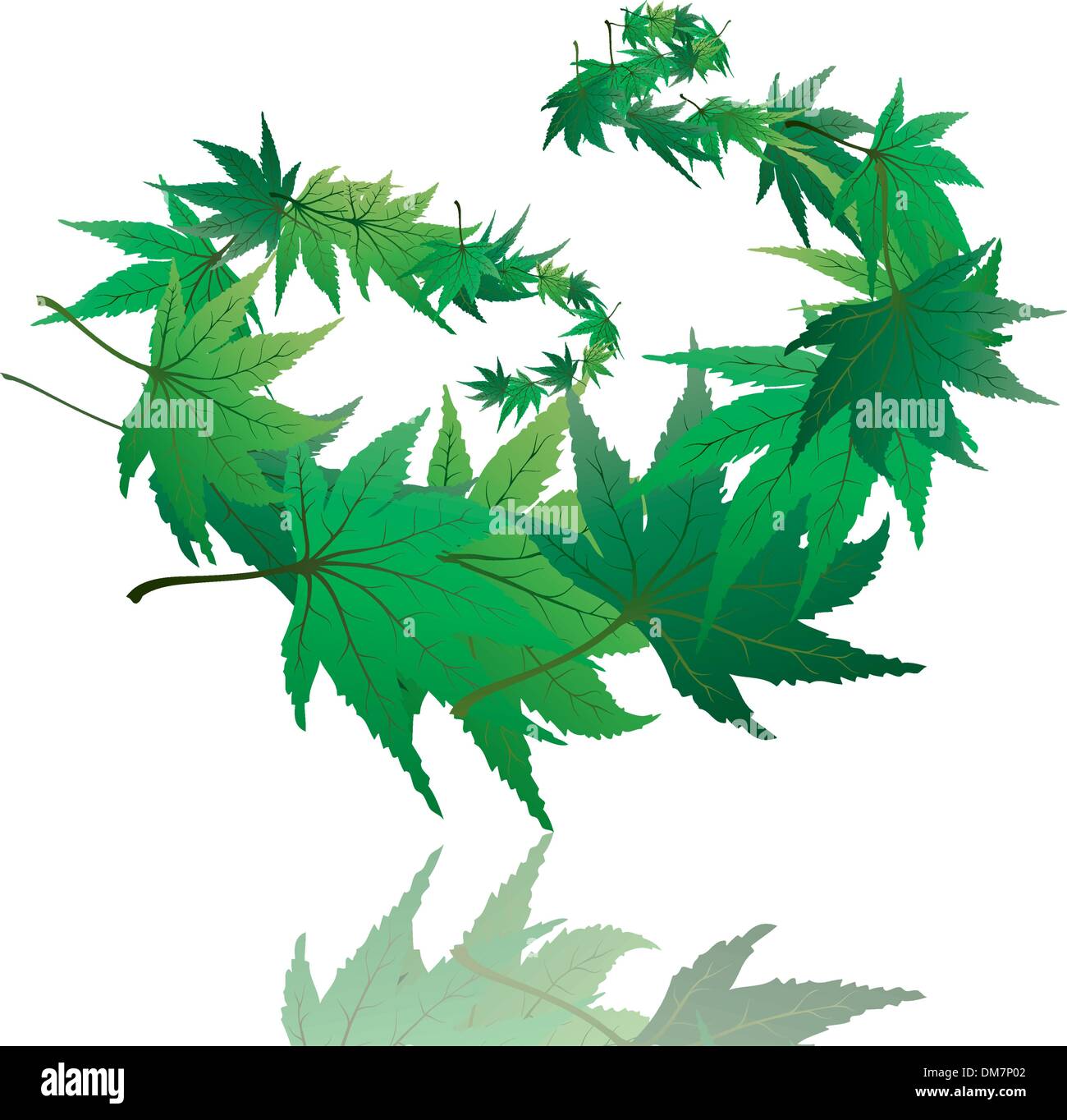 maple leaves Stock Vector