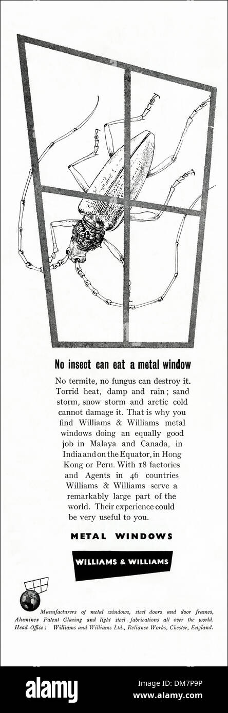 1950s advertising. Original vintage magazine advertisement advert for WILLIAMS & WILLIAMS METAL WINDOWS Stock Photo