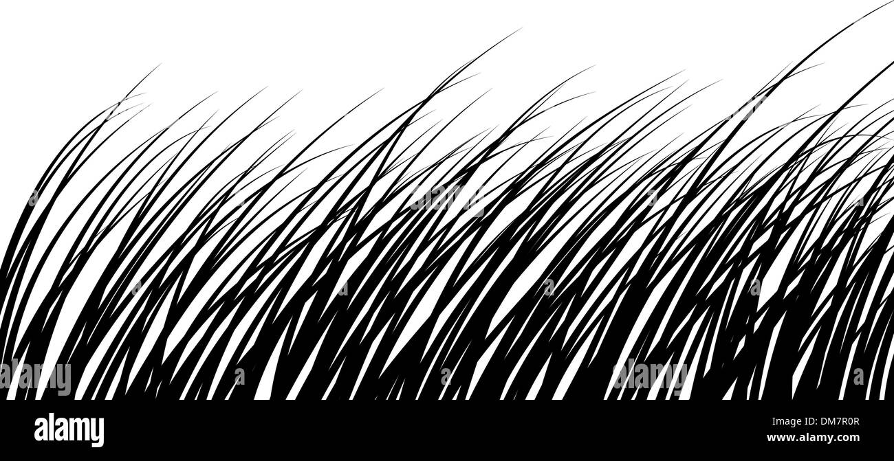 grass silhouette Stock Vector Image & Art Alamy