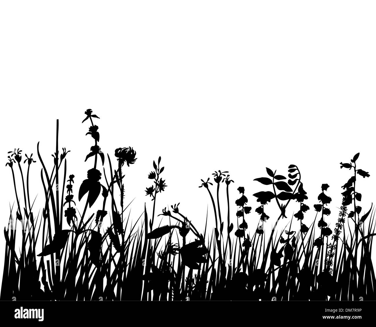 Grass background Black and White Stock Photos & Images - Alamy