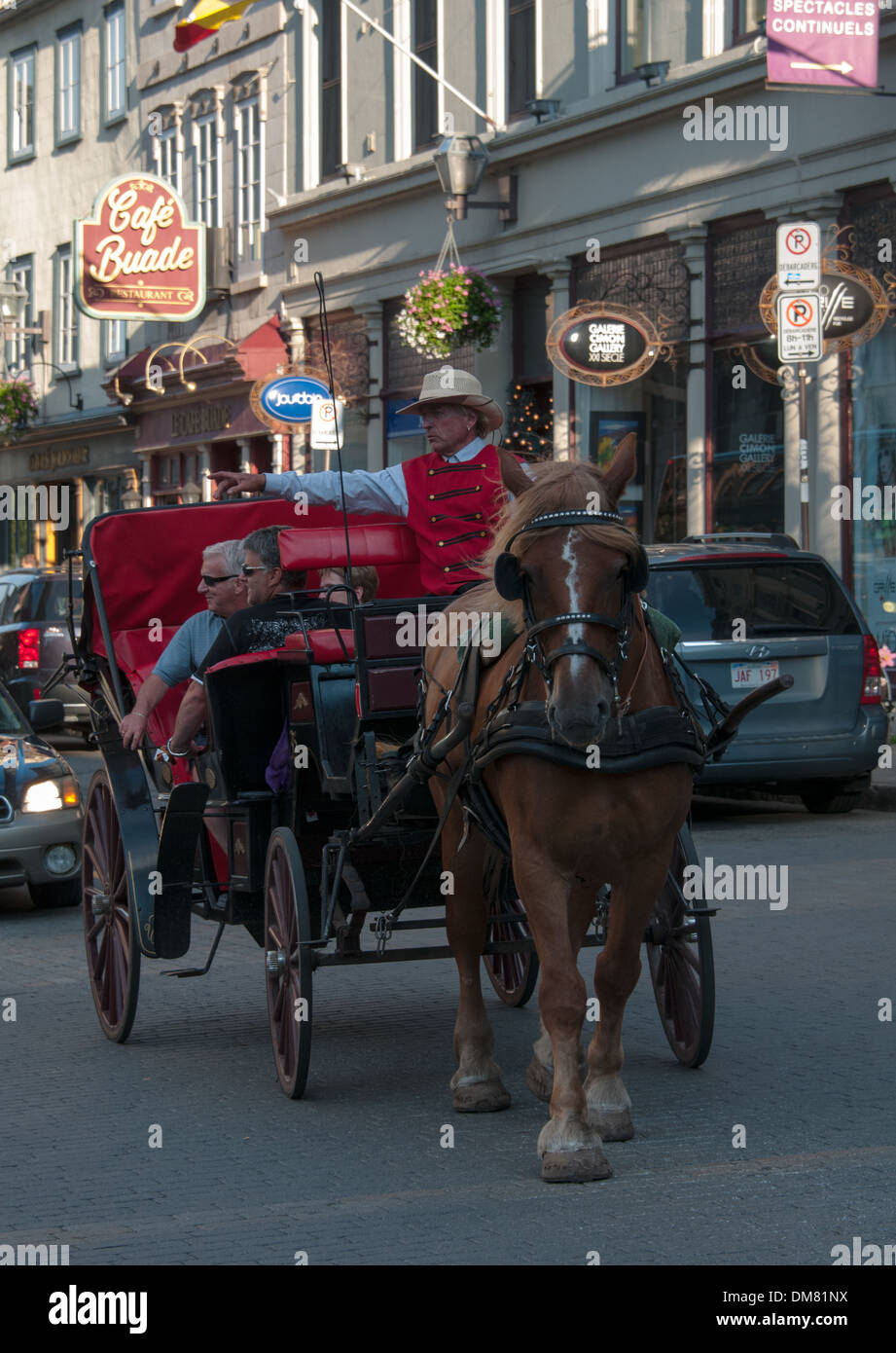 Horse carriage Quebec city Canada Stock Photo Alamy