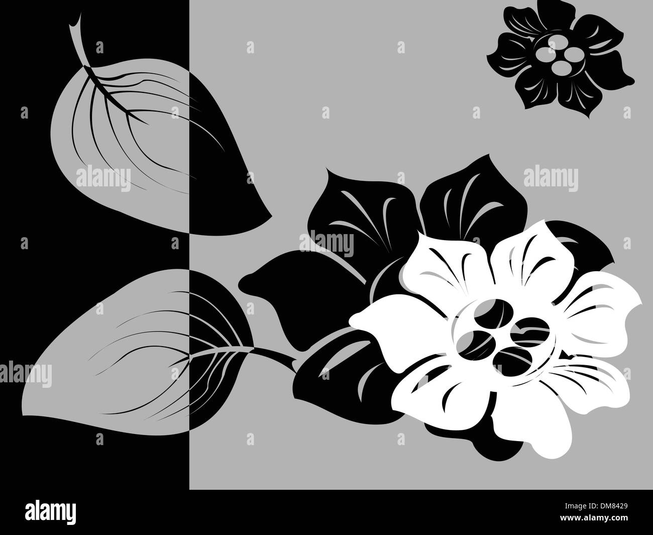 Black and white floral card Stock Vector Image & Art - Alamy