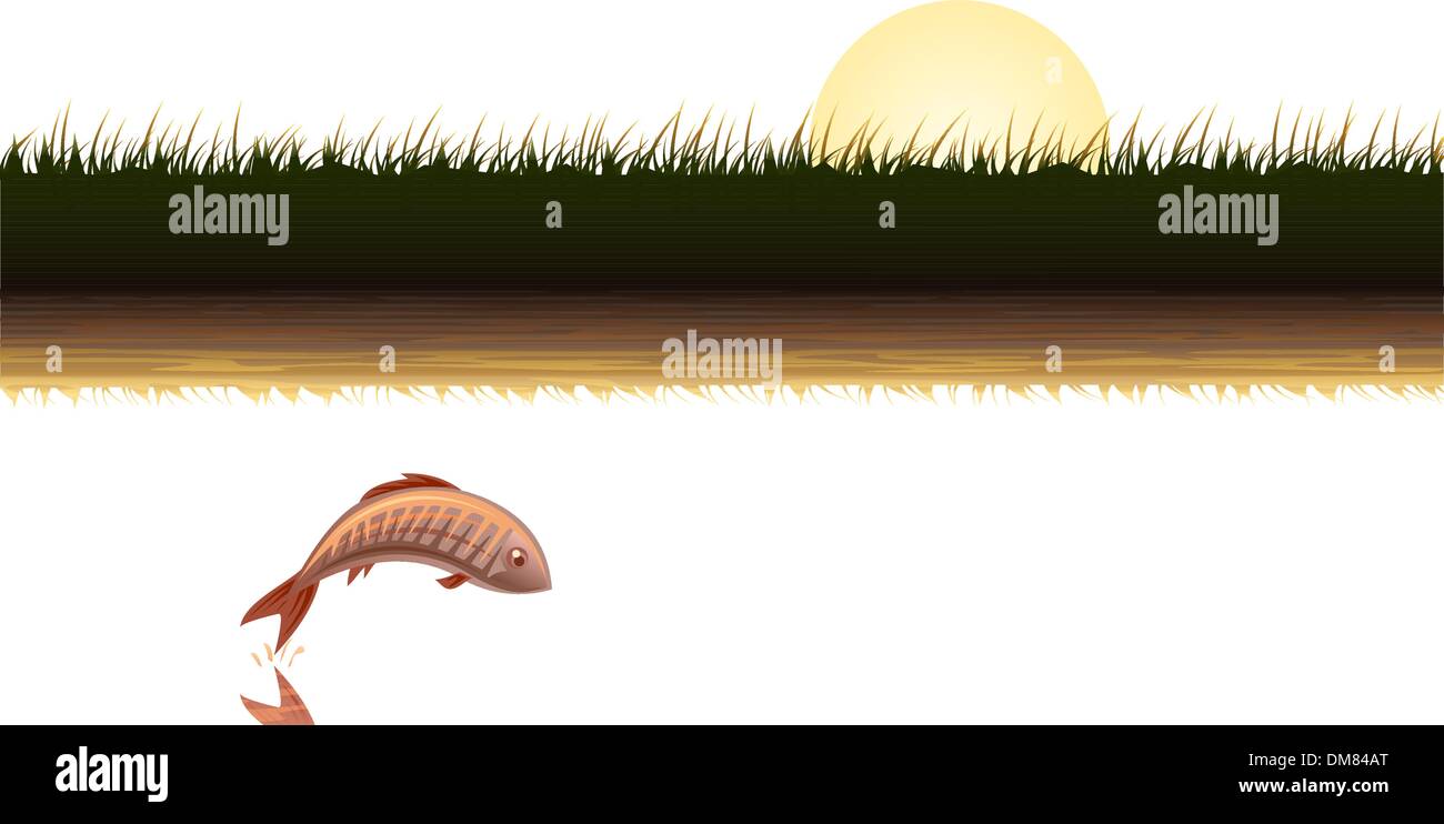 Evening pond Stock Vector