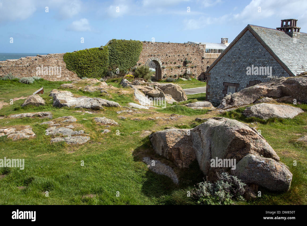 CAP LEVI FORT BUILT IN THE 19TH CENTURY UNDER NAPOLEON BONAPARTE AND TODAY REHABILITATED AS A BED BREAKFAST, COASTAL LANDSCAPE WITH FLOWERING BROOM, FERMANVILLE, MANCHE (50), FRANCE Stock Photo