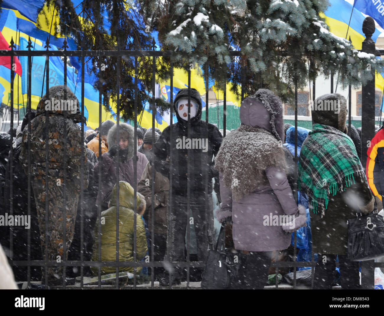 Kiev, Ukraine. 11th December 2013. Pro-president meeting in the Ukrainian capital is in progress. Credit:  OlegMit/Alamy Live News Stock Photo