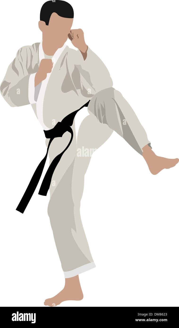 Karate silhouettes Stock Vector