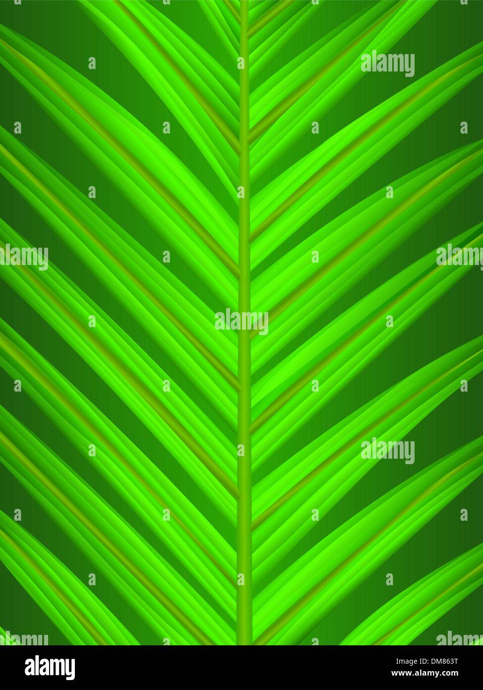 Palm leaf Stock Vector