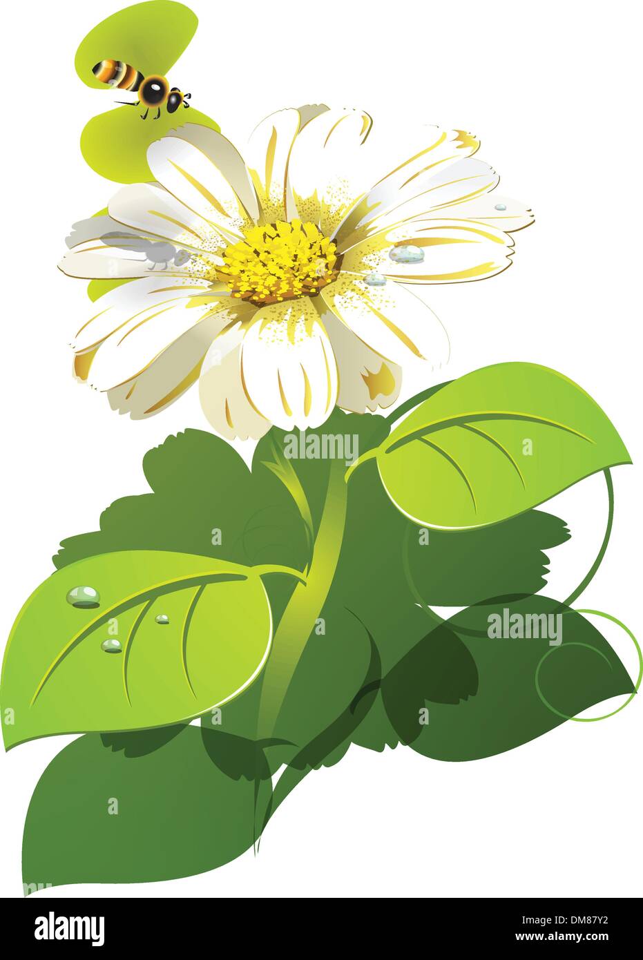 Insect Flight Flying Flower Stock Vector Images Alamy