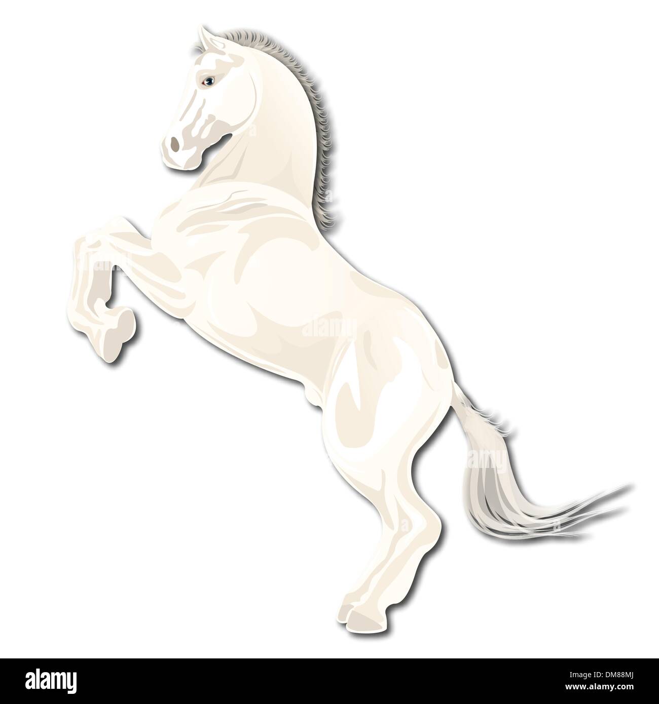 white horse Stock Vector Image & Art - Alamy