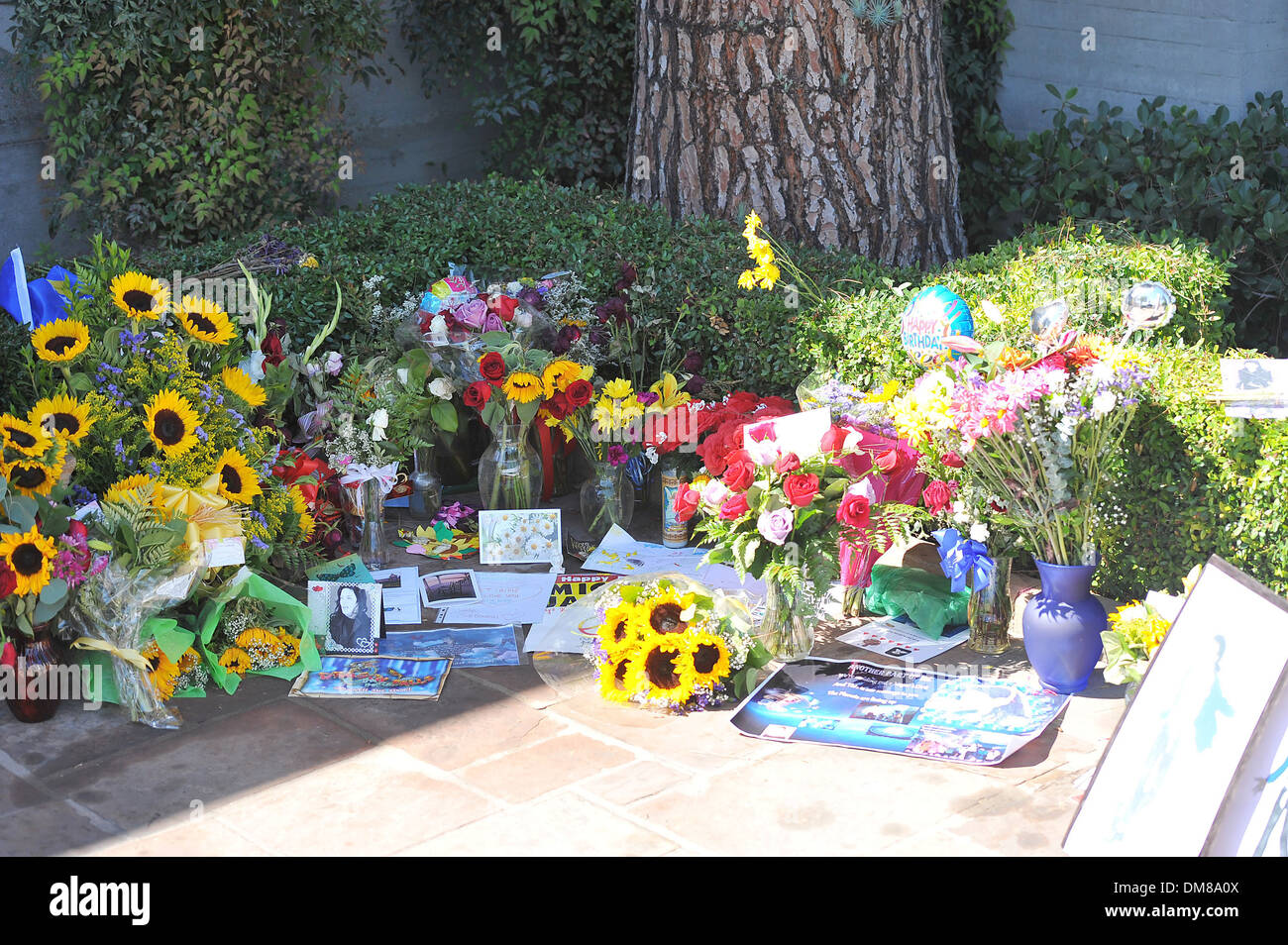 Fans Visit Michael Jackson S Tomb At Forest Lawn Cemetery On What Would Have Been His 53rd Birthday They Left Drawings Flowers Stock Photo Alamy