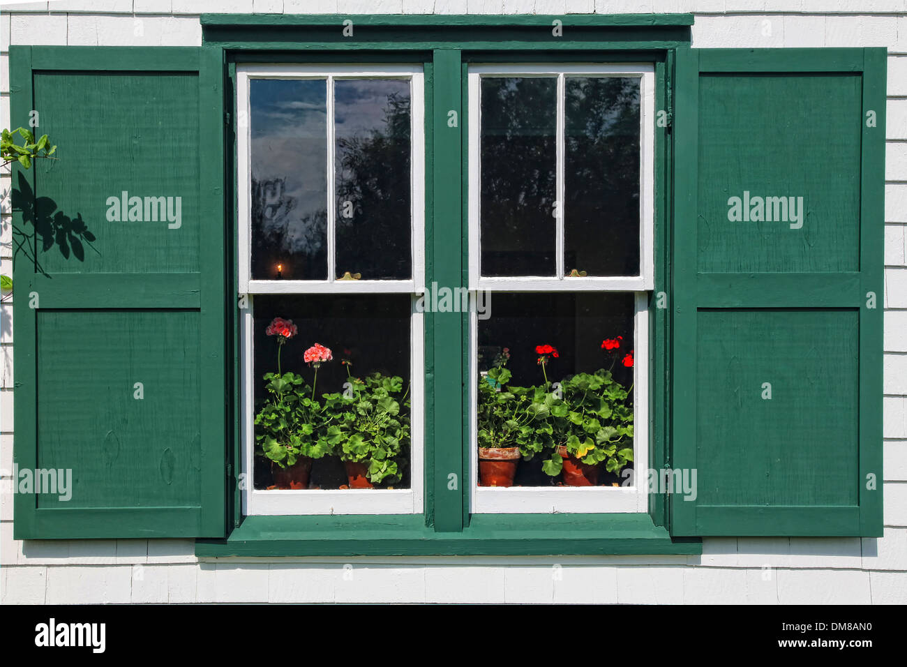 Pots of flowering geraniums in the window of Green Gables House, made famous by the Anne of Green Gables books by L.M. Montgomey Stock Photo