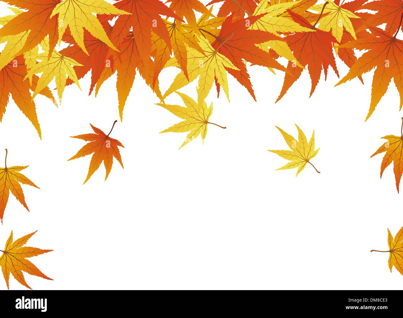Autumn maples falling leaves background Stock Vector Images - Alamy