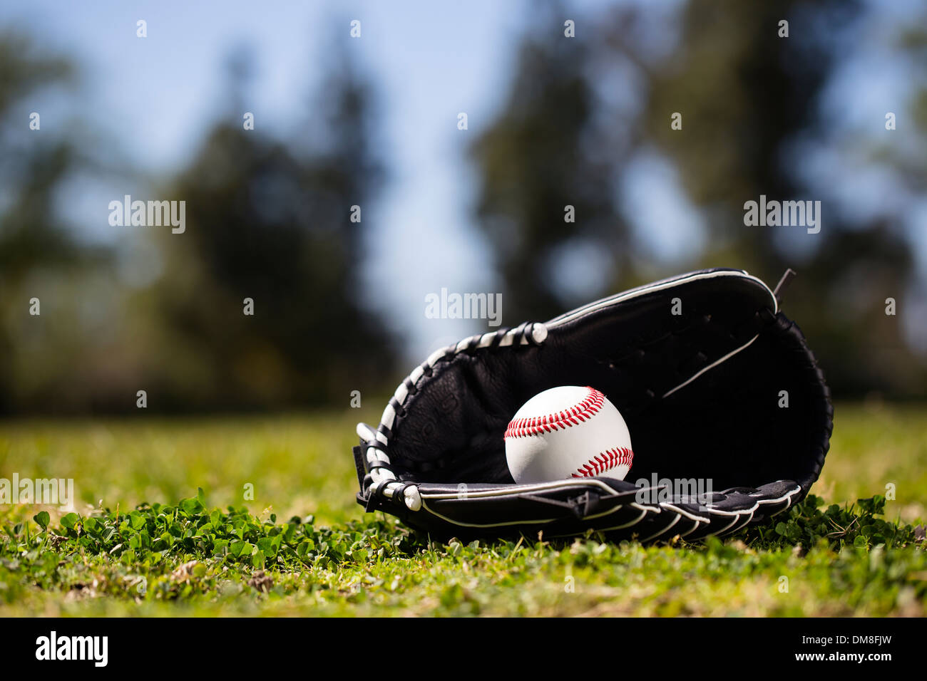 Baseball glove and mitt Stock Photo Alamy