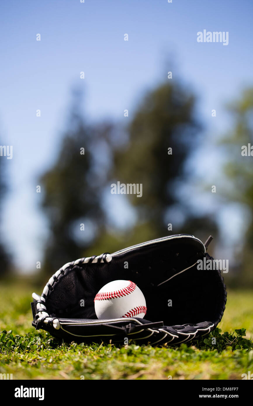 Baseball glove and mitt Stock Photo Alamy
