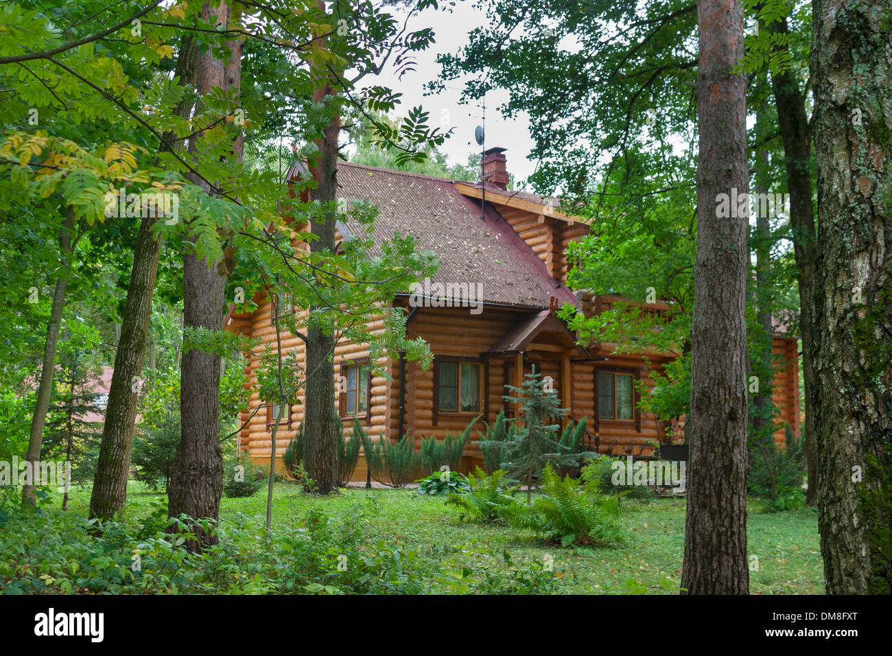 country wooden house in the forest Stock Photo Alamy