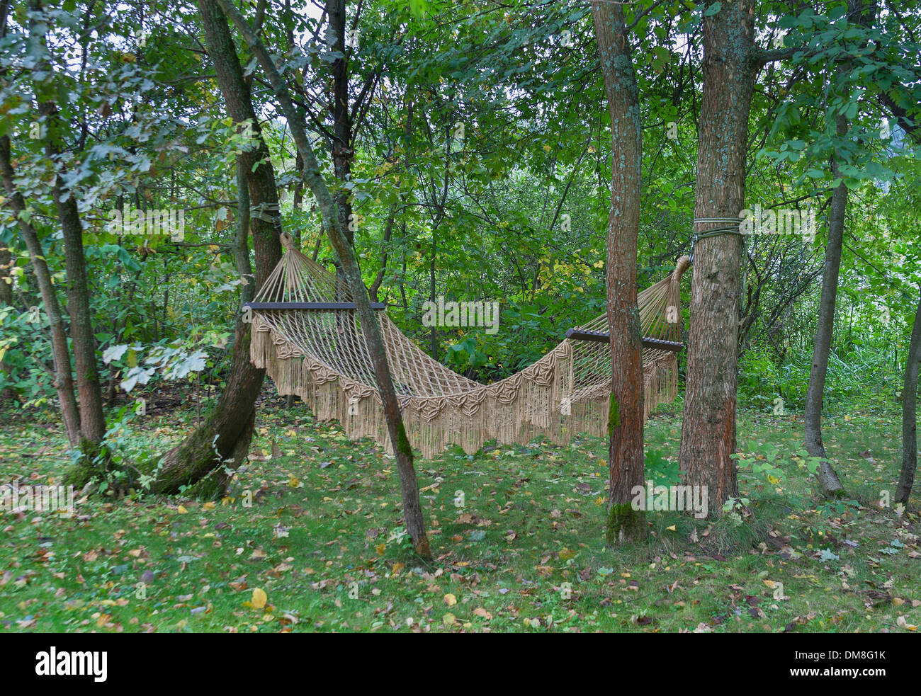 Hanging rope tree hi-res stock photography and images - Alamy