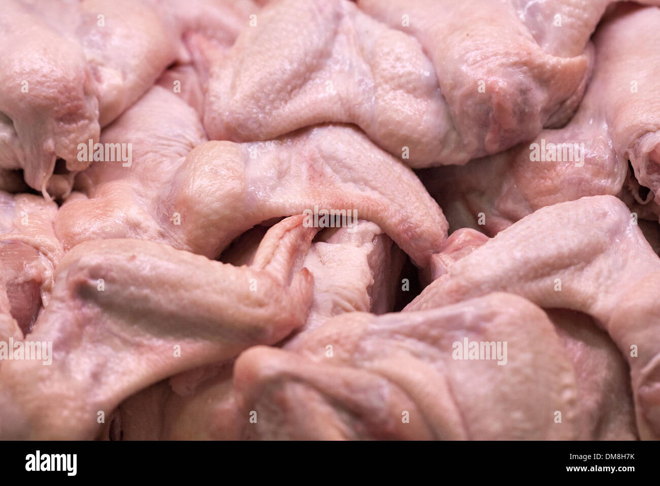 plucked raw chicken wings background Stock Photo