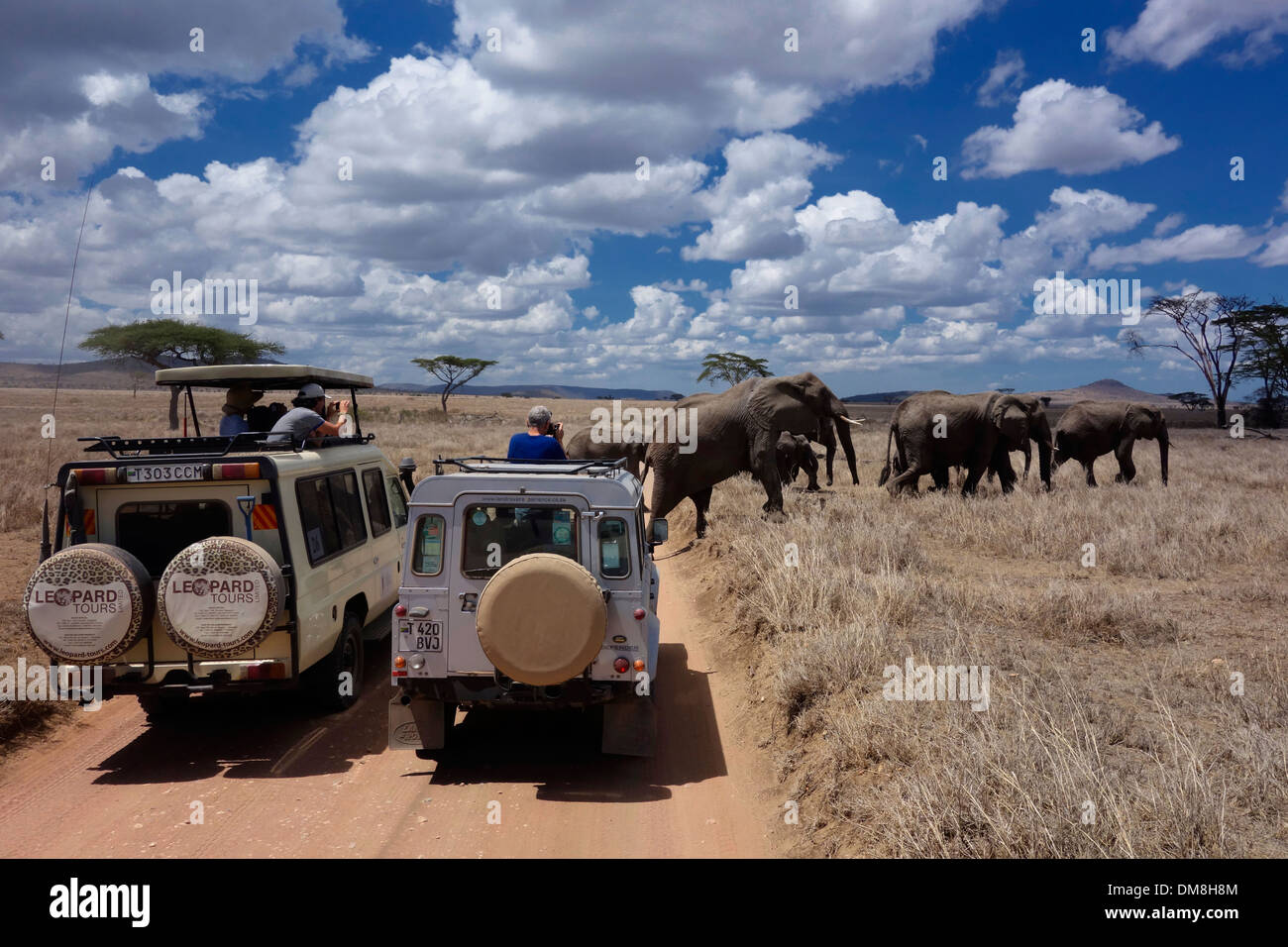 Serengeti Park Bollenson расстояние