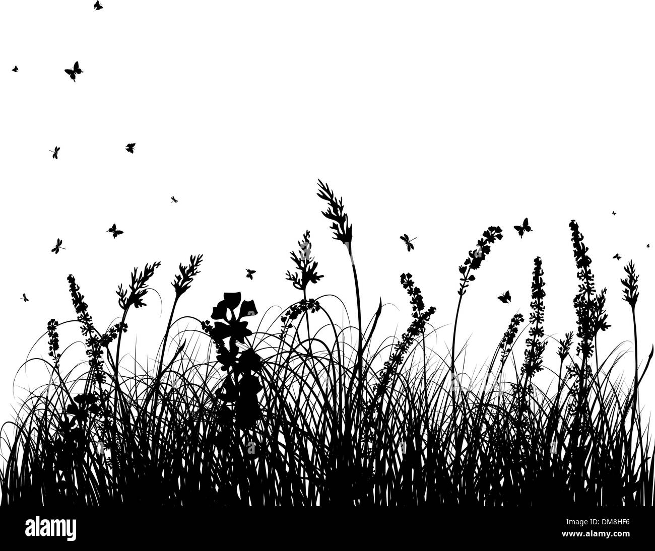 Flower meadow and insects Black and White Stock Photos & Images - Alamy