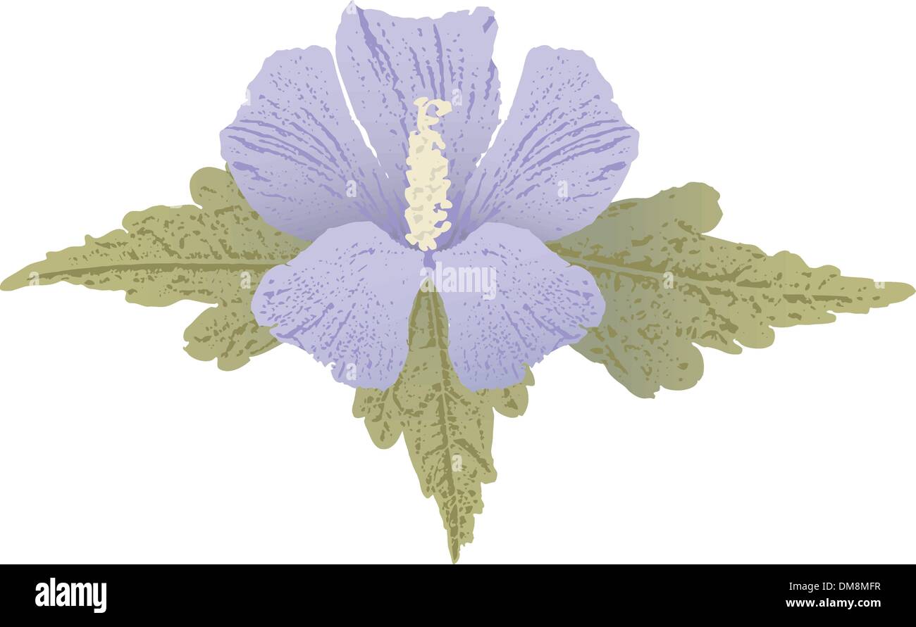 Mauve hibiscus Stock Vector