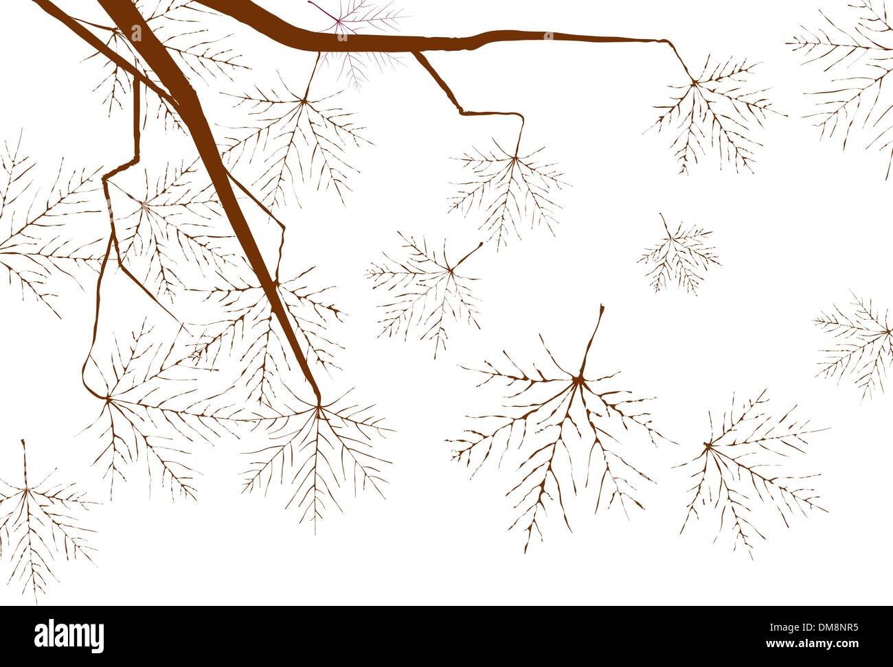 Maple leaf vector vectors hi-res stock photography and images - Alamy