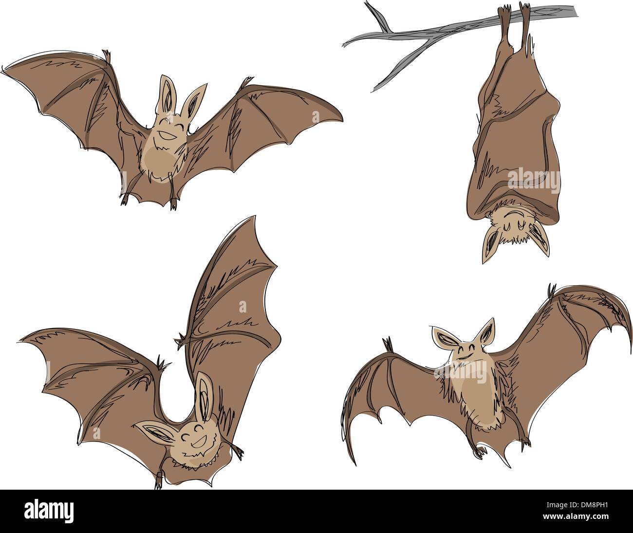Bat Bird Clipart Cartoon