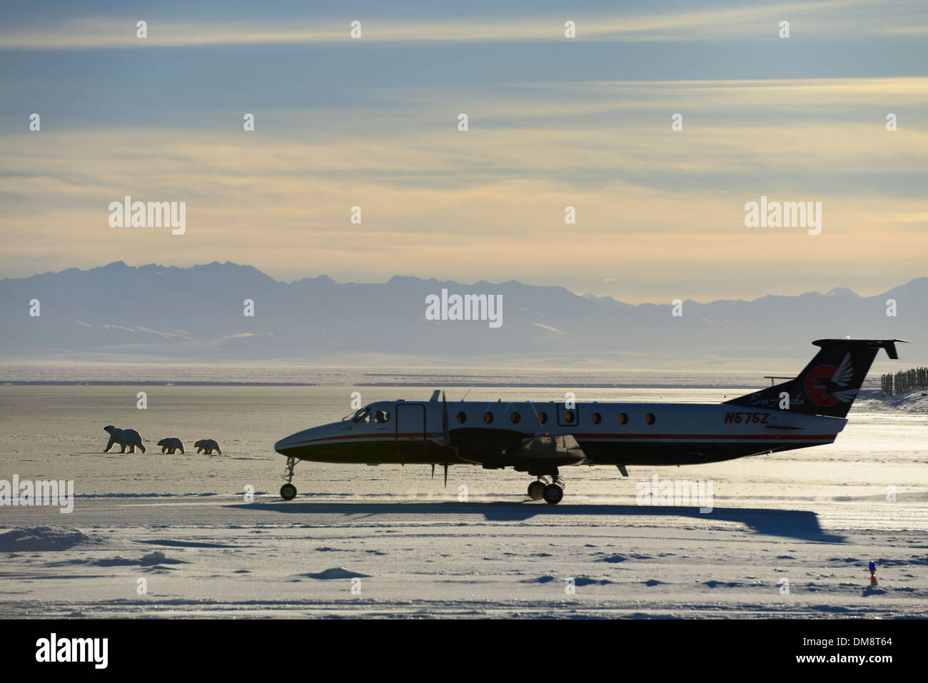 Airplane taking off from Barter Island LRRS airport Kaktovik Alaska with polar bears on frozen Beaufort Sea Arctic Ocean and Brooks Range mountains Stock Photo