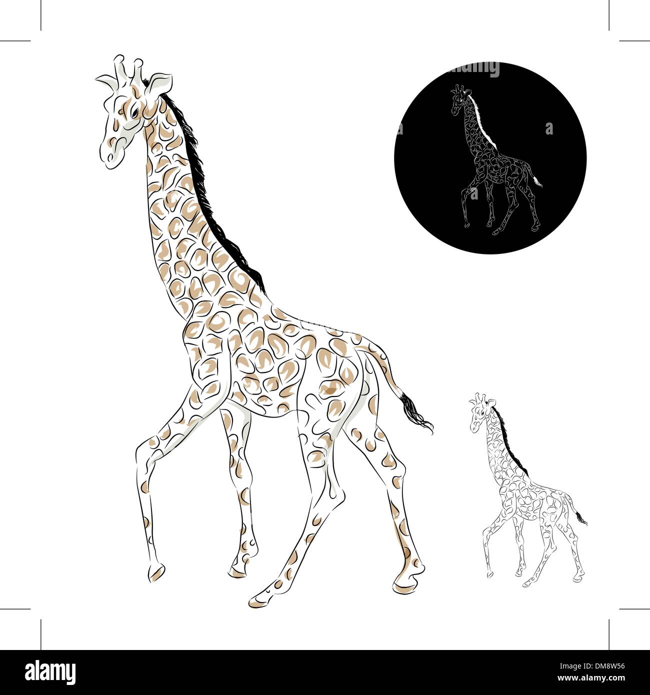 how to draw a real giraffe step by step