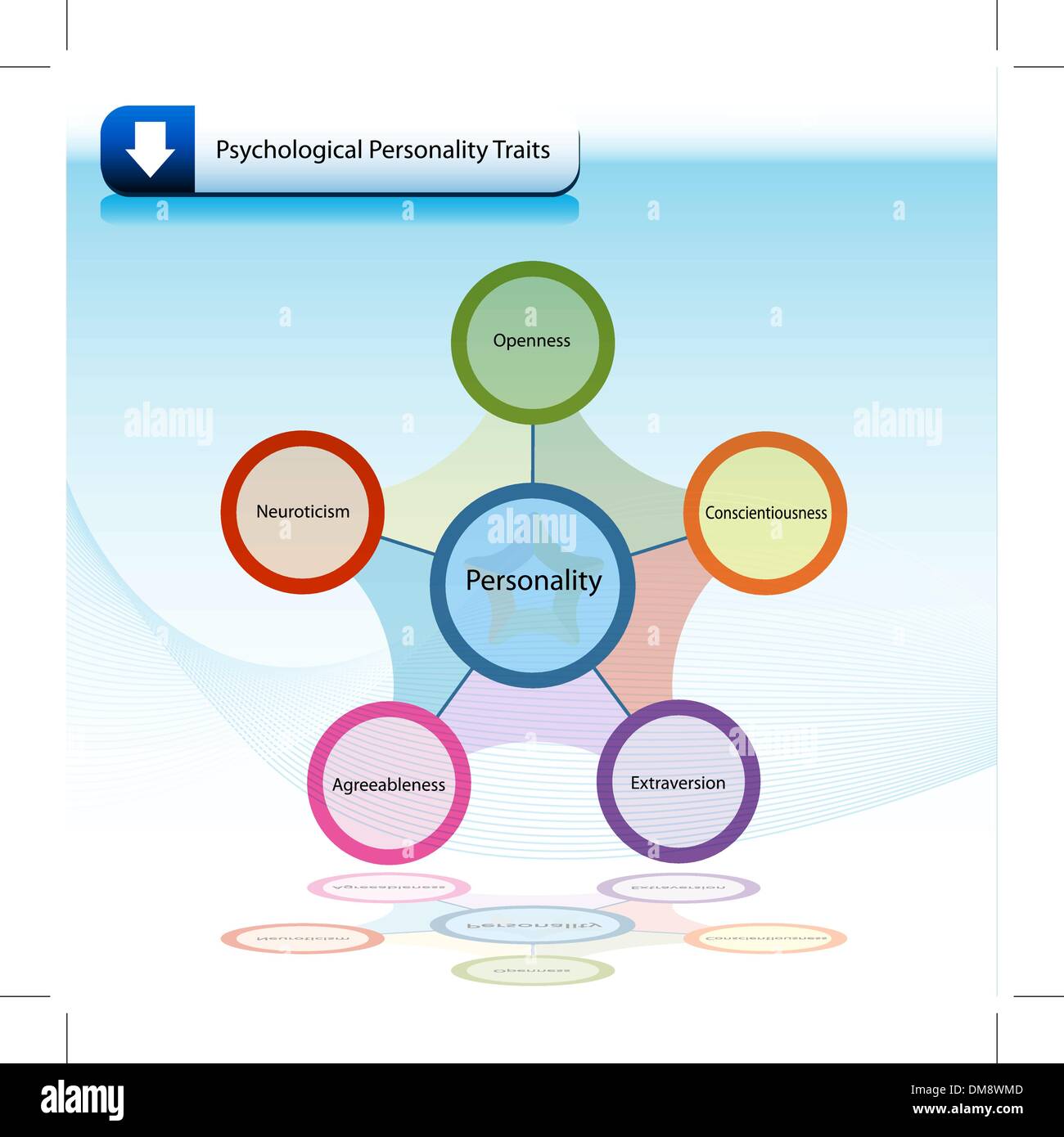 Psychological Personality Traits Chart Diagram Stock Vector