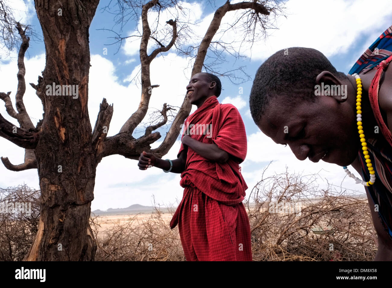 Maasai man wearing a traditional red shuka robe in the Ngorongoro ...