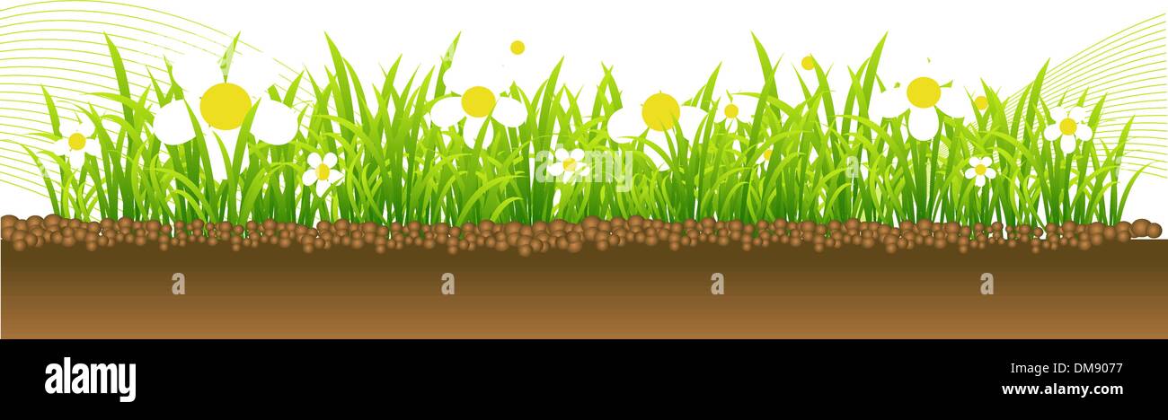 Spring, flowers on the meadow Stock Vector Image & Art - Alamy