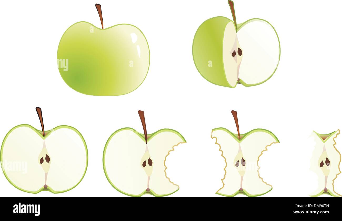 Стадии съедания яблока
