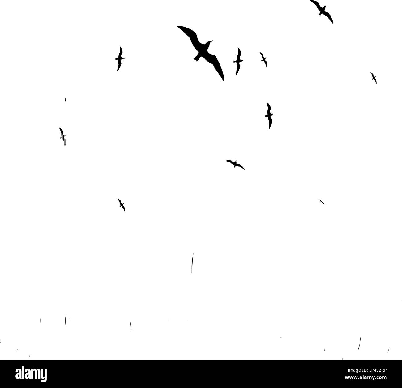 Summer meadow and birds in sky, black silhouette Stock Vector