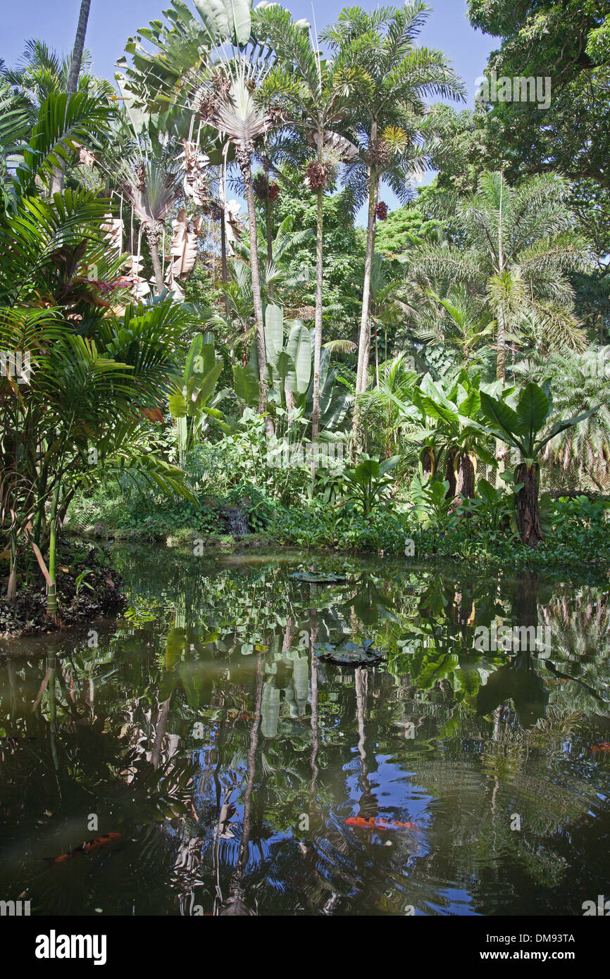 Hawaiian tropical hi-res stock photography and images - Alamy