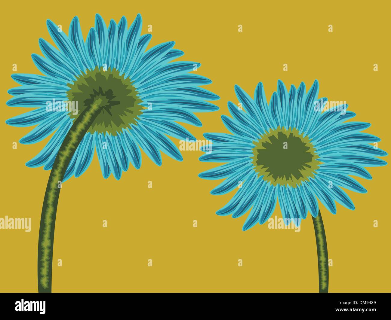 flower front and back Stock Vector Image & Art - Alamy