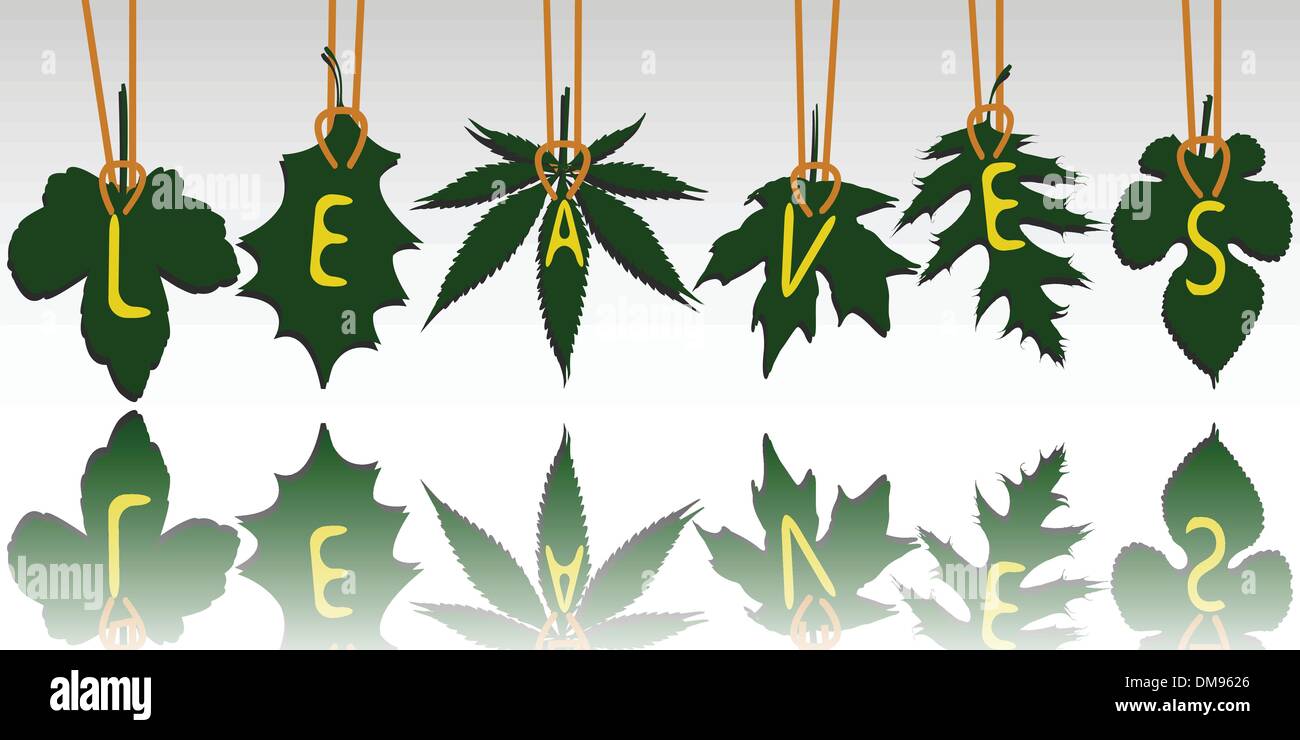 leaves tags Stock Vector