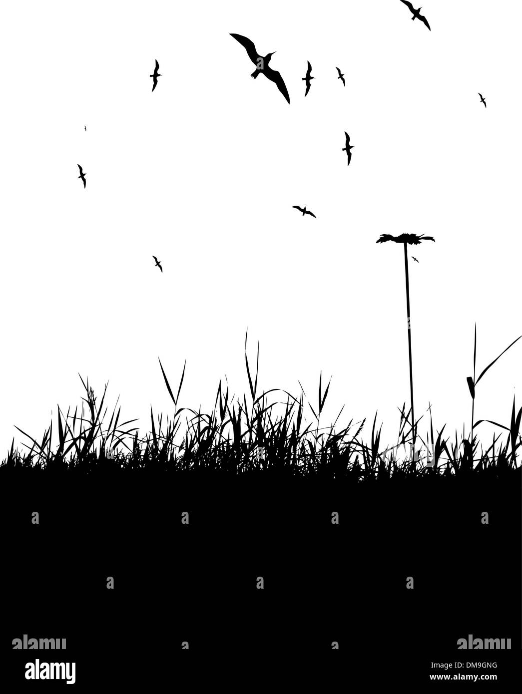 Little girl ispicking flowers on field, black silhouette Stock Vector
