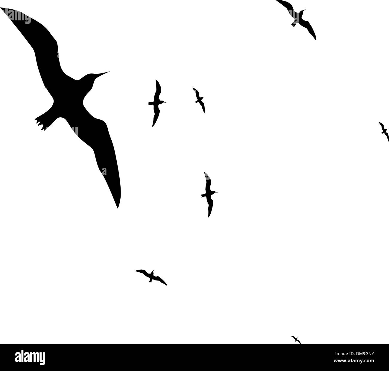 Birds flying in sky Stock Vector
