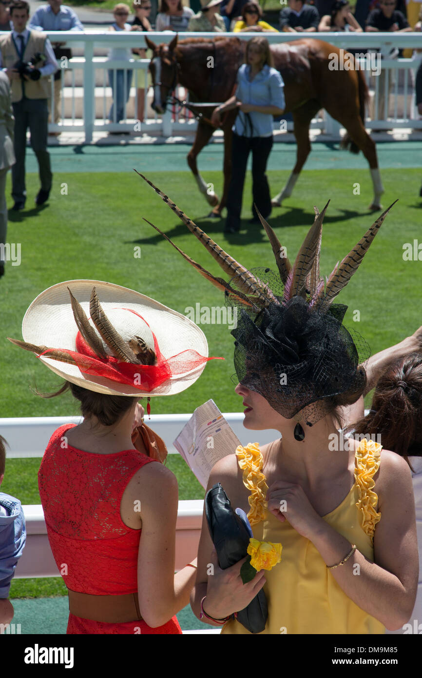 CHIC AND ELEGANT PUBLIC IN HATS AT THE PRESENTATION OF THE HORSES, 2013  PRIX DE DIANE LONGINES HORSE RACE, CHANTILLY RACECOURSE, OISE (60), FRANCE  Stock Photo - Alamy