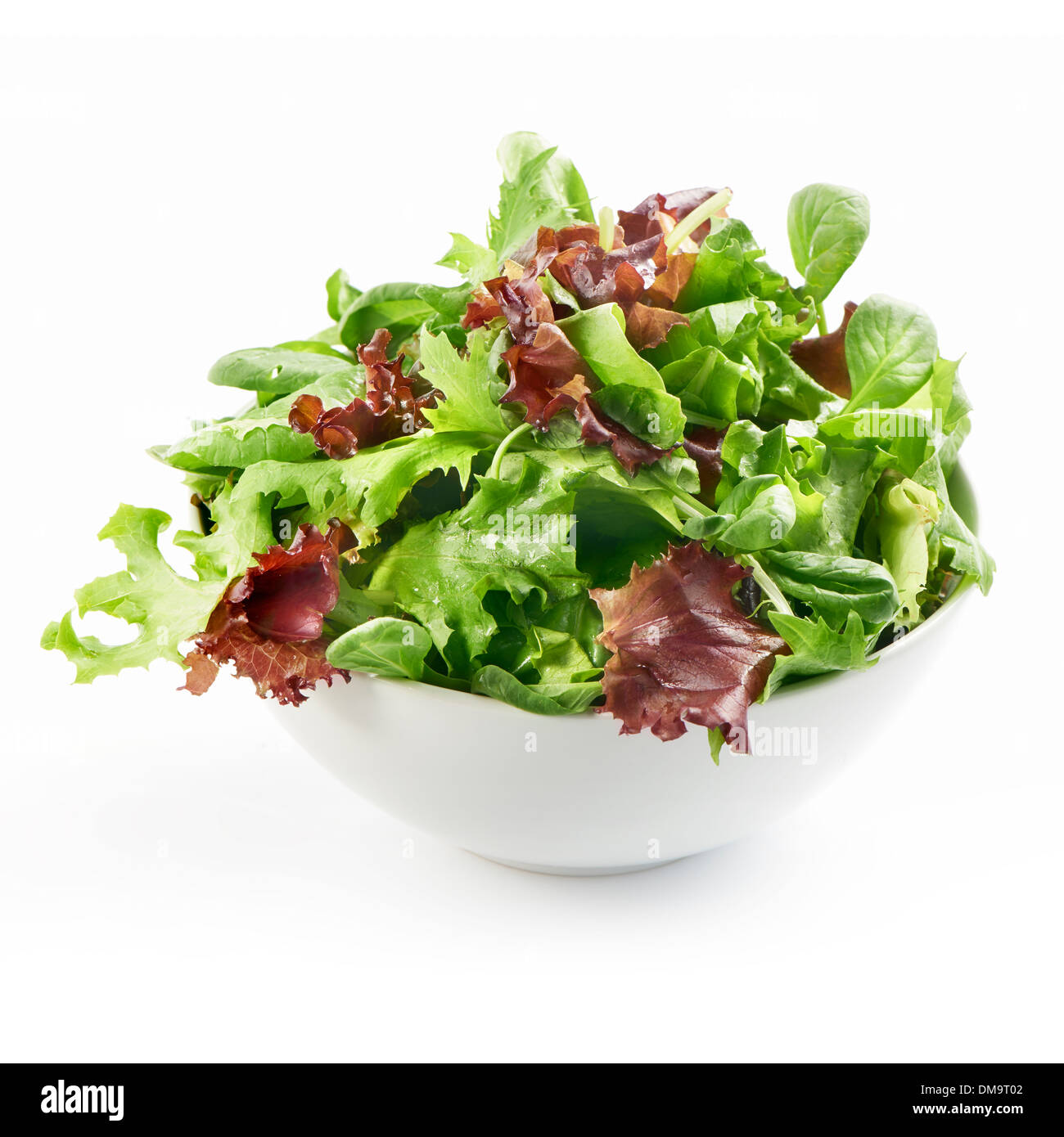 fresh and healthy mixed salad in a white bowl with a soft shadow Stock Photo
