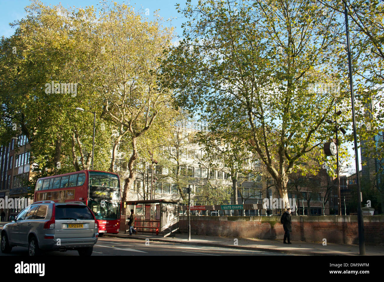 Trees at Altab Ali Park, Whitechapel, London UK Stock Photo