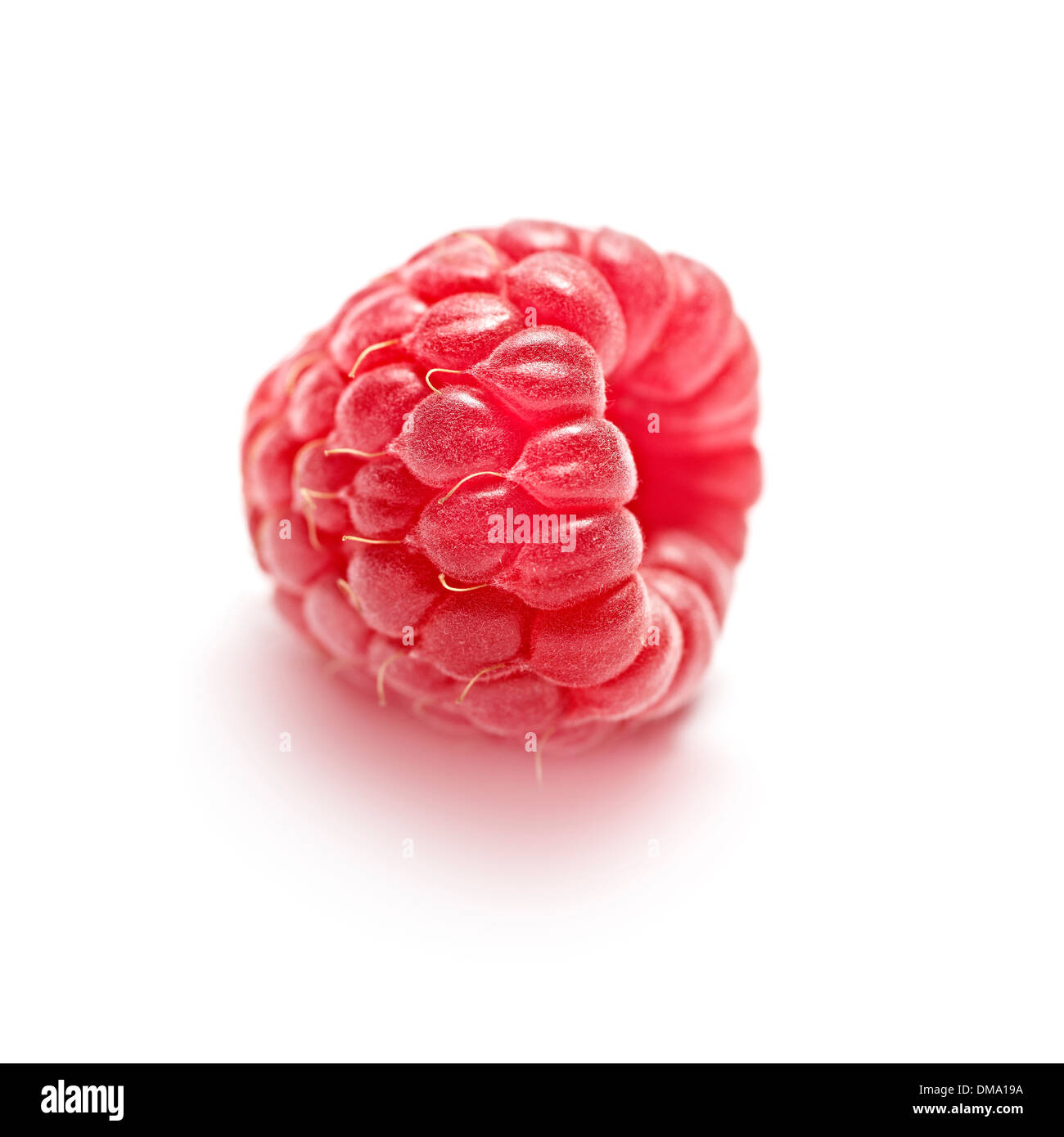 Single raspberry isolated on a white background with a soft shadow ...