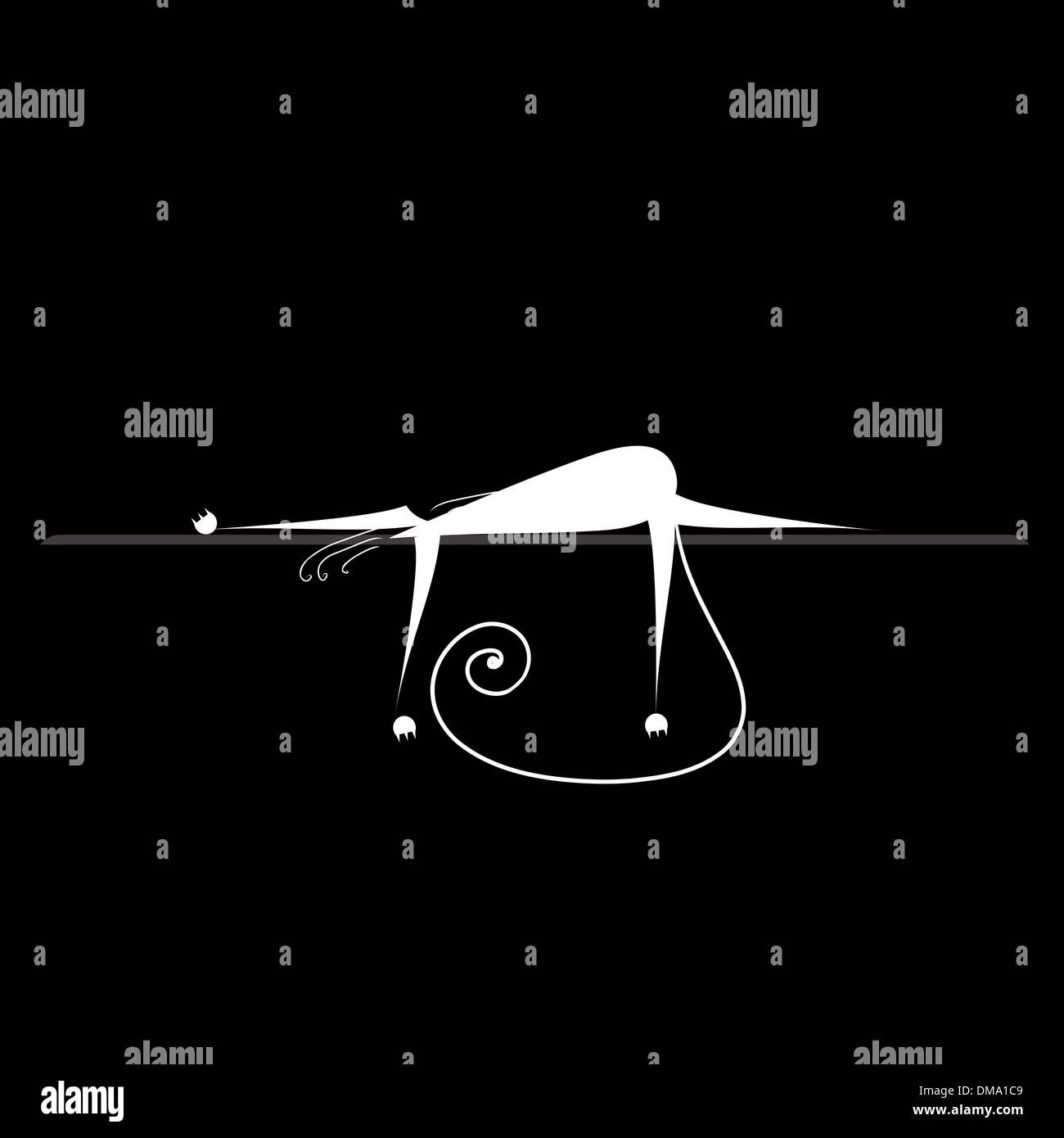 Black cat with white background Black and White Stock Photos & Images