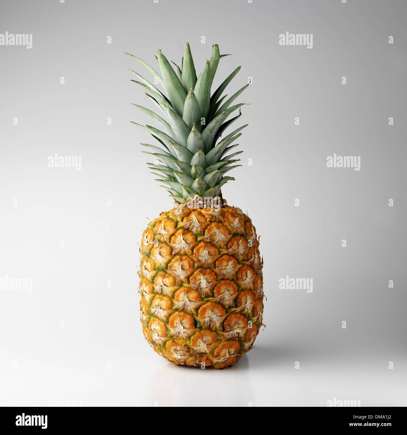 Pineapple plant with fruit hi-res stock photography and images - Alamy