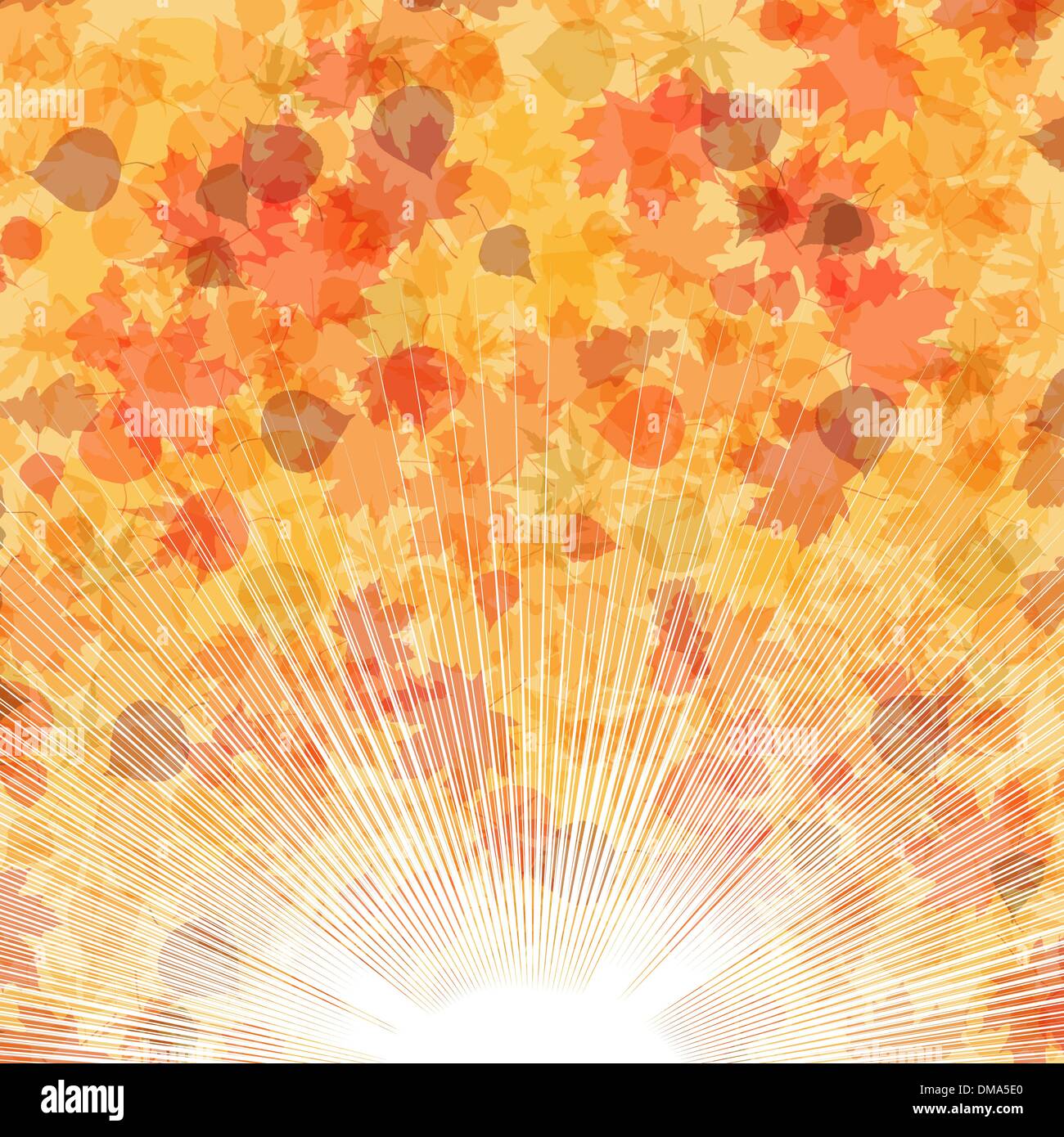 Autumn leaves background. EPS 8 Stock Vector Image & Art - Alamy