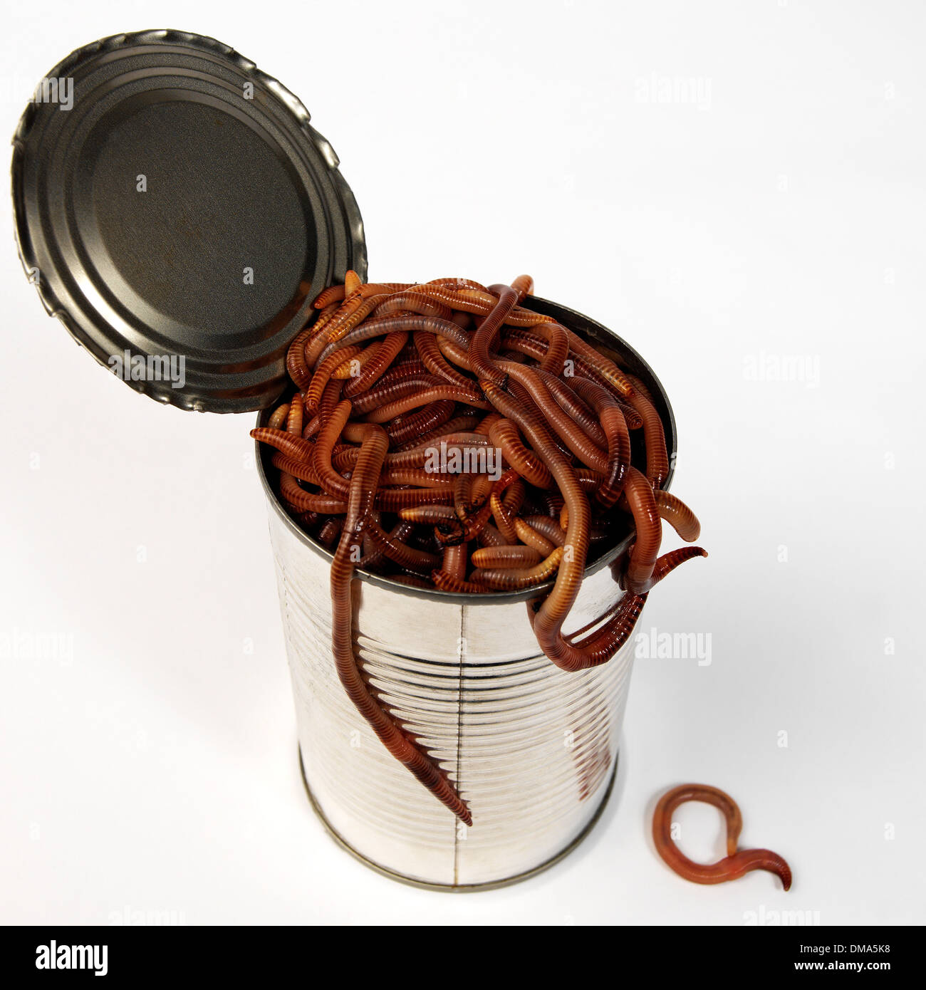Can of worms hires stock photography and images Alamy