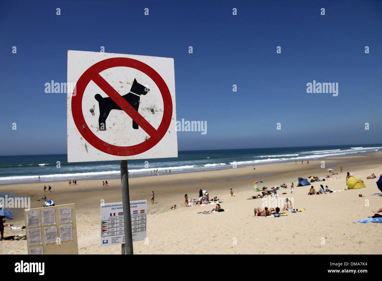SoulacsurMer Beach dog ban signage Stock Photo Alamy