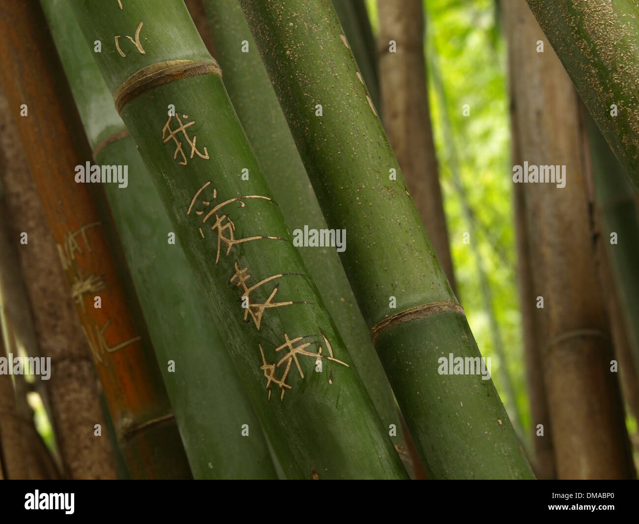 Chinese letters hi-res stock photography and images - Alamy