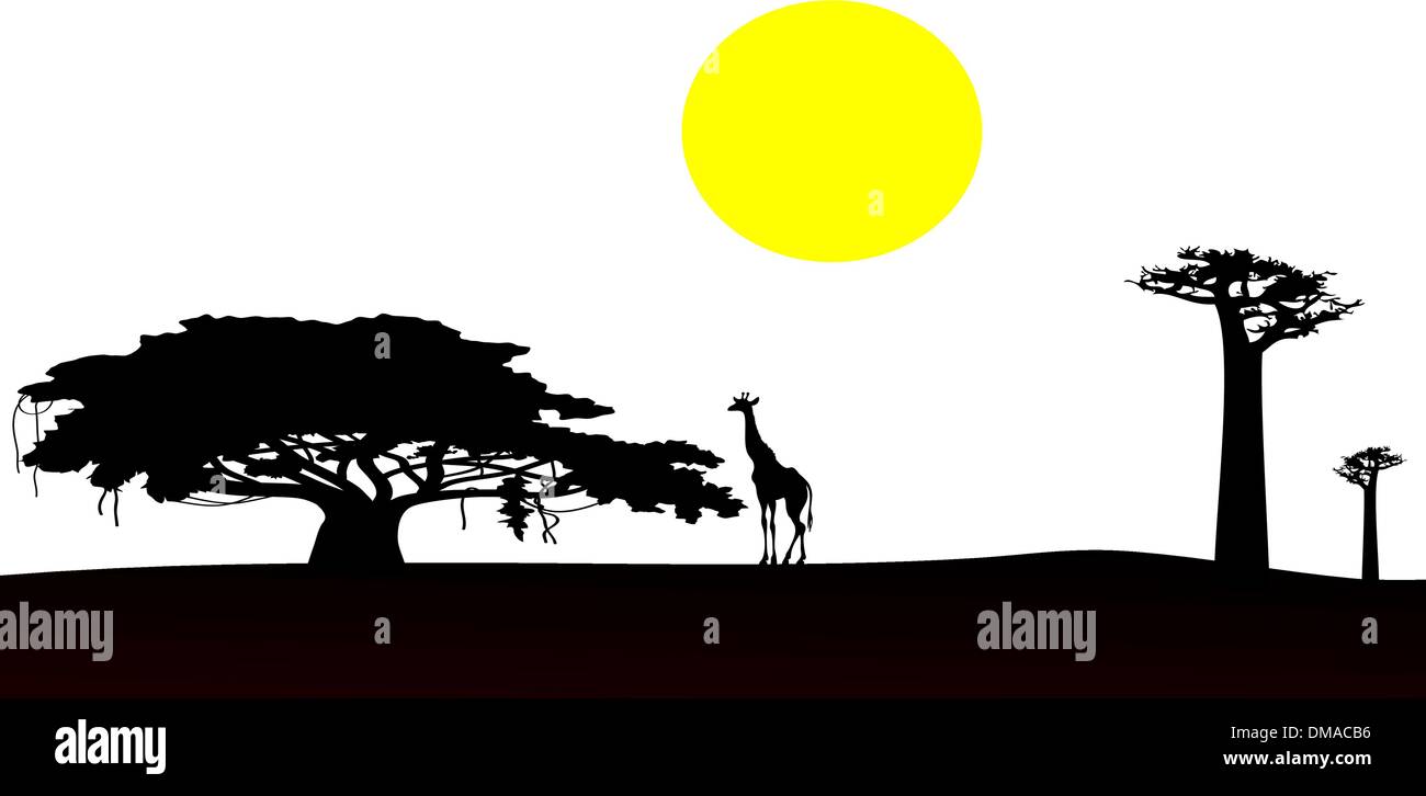 Africa sunset - vector Stock Vector